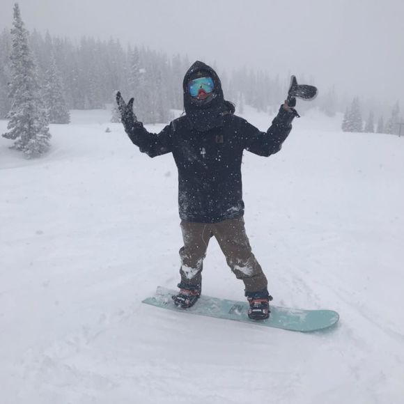 Meet your Posher, Logan - Picture 1 of 1